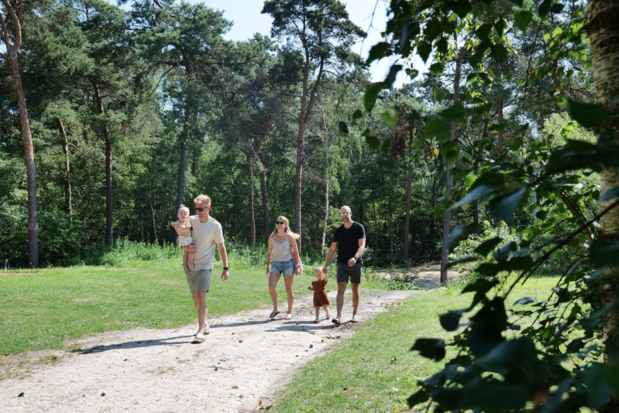 Wandelen bos 1 Verkleind
