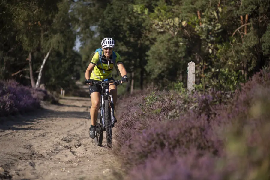 Camping Overijssel Sallandse Heuvelrug Marketing Oost Lenneke Lingmont