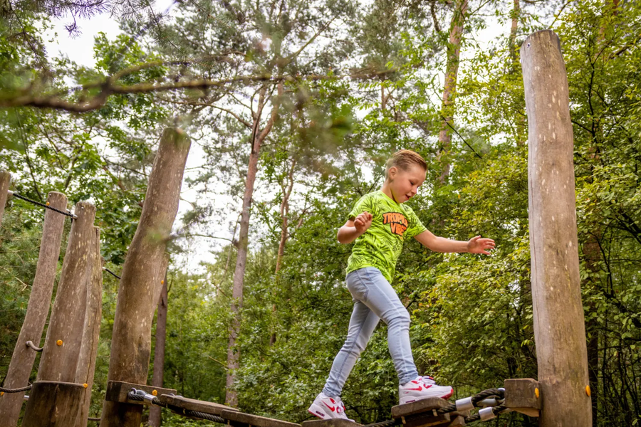Spielwald camping mit kindern krieghuusbelten